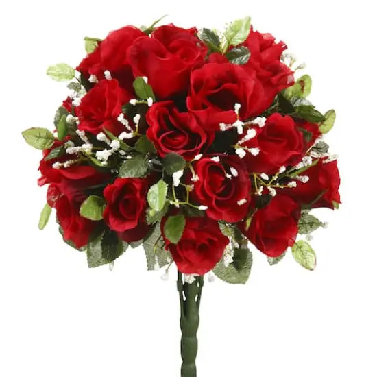 Red Rose Bush by Ashland&reg; {1}