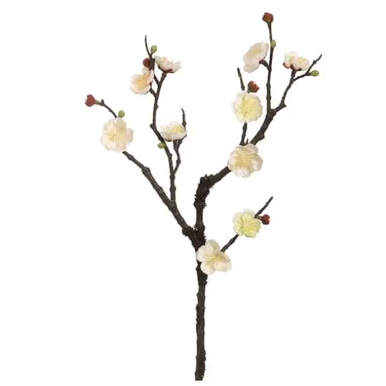 Cream Plum Blossom Stem {1}