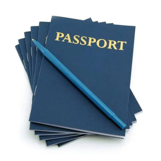 Hygloss My Passport Books, 12 Per Pack {1}