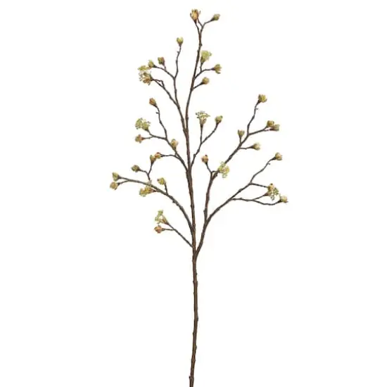 Yellow Budding Blossom Stem {1}