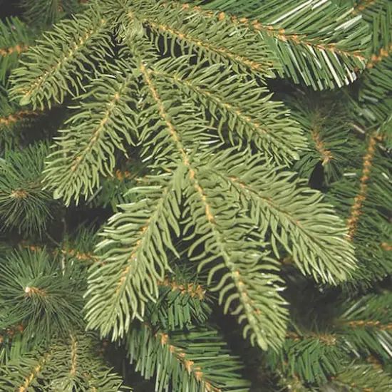 7.5ft. Unlit Feel Real&reg; Hinged Norwegian Spruce Slim Artificial Christmas Tree {3}