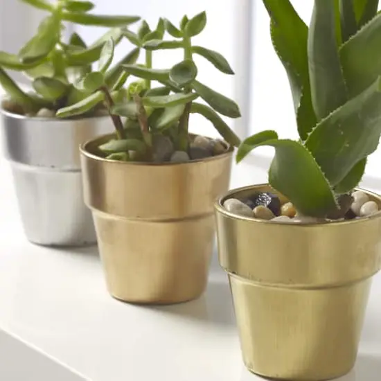 Premium Gilding Paint by Craft Smart&reg; Brass {5}