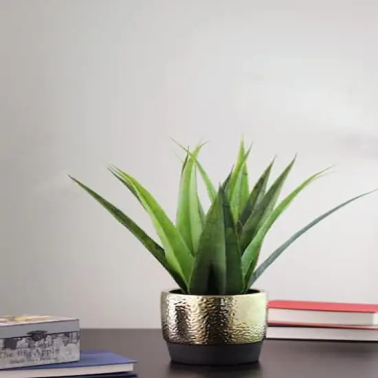 17" Green Artificial Agave in Hammered Gold Look Ceramic Pot {5}