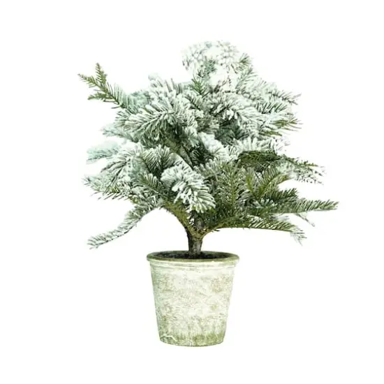 20" Flocked Pine Tree in Faux Paper Pot {1}