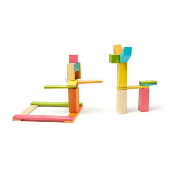 Tegu Tints Block 24 Piece Set {3}