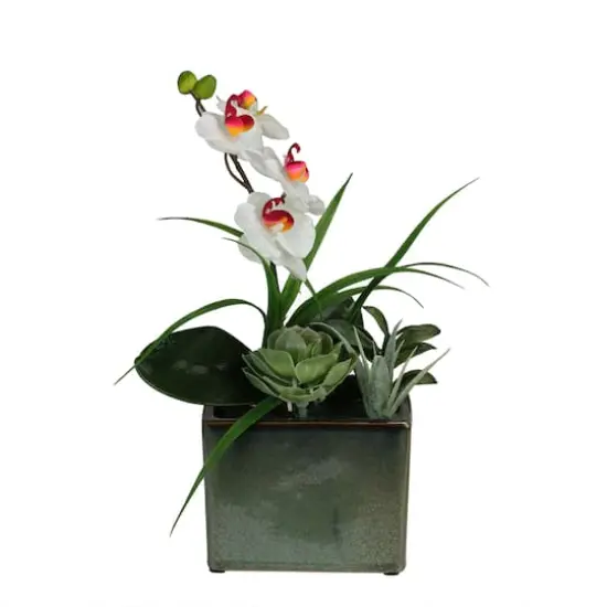 12" White Springtime Easter Orchid & Succulents Artificial Arrangement In Planter {1}