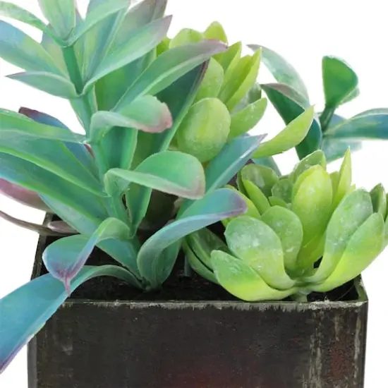 7" Green Artificial Succulents in Square Pot {3}