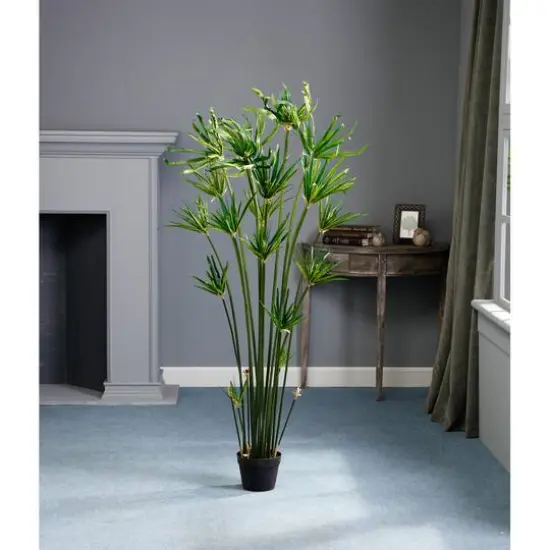 5 Ft. Cypress Grass Tree {4}