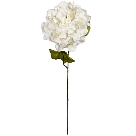 Cream Hydrangea Stem by Ashland&reg; {1}