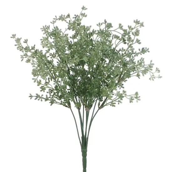 17" Eucalyptus Seed Bush {1}