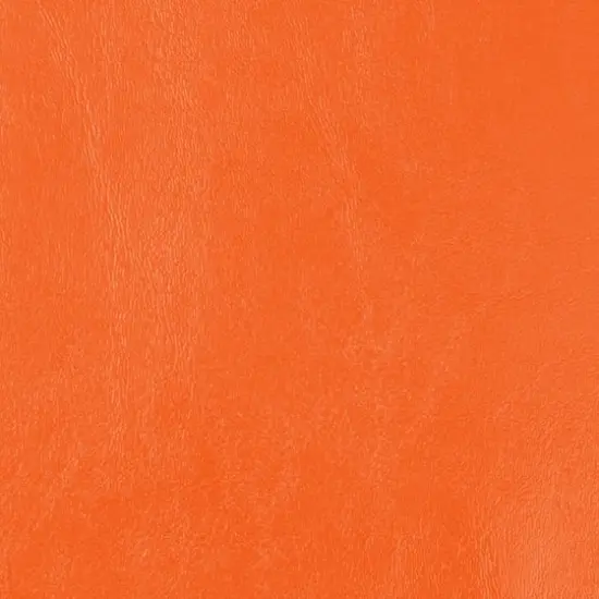 Nassimi Seaquest Navel Orange Vinyl {2}