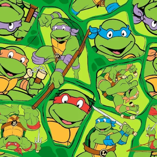 Nickelodeon® Green Heroes In A Half Shell Toss Quilting Cotton Fabric {1}