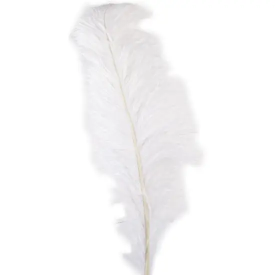 Ashland&reg; Feather, Ostrich, Ivory {1}