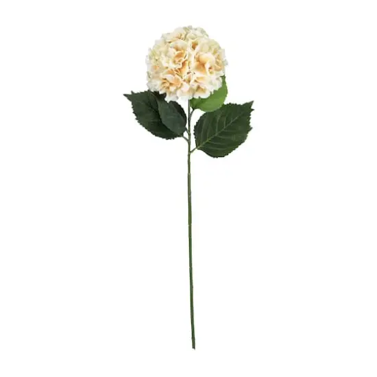Garden Blooms Hydrangea Stem by Ashland&reg; Cream {1}