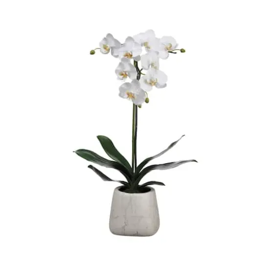 White Orchid in Faux Marble Pot {1}
