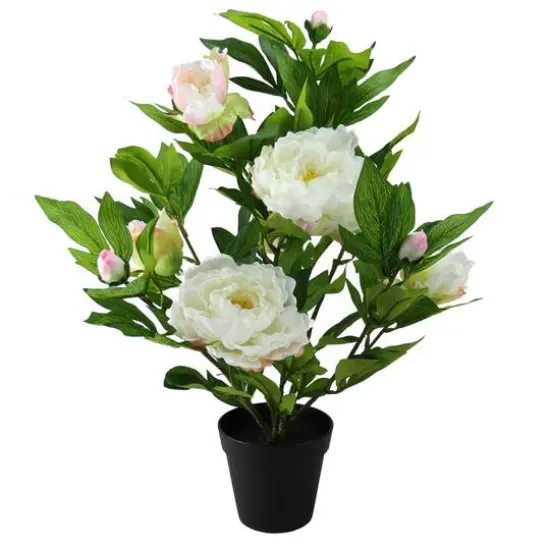 17.25" Creamy White & Pink Artificial Blooming Potted Peony {1}