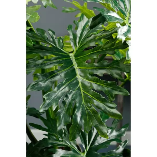 5 Ft. Plume Split Leaf Plant {3}