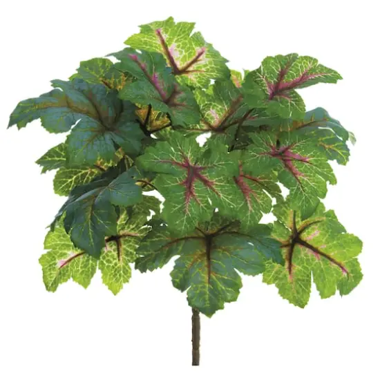 11" Heuchera Bush, Green & Mauve {1}