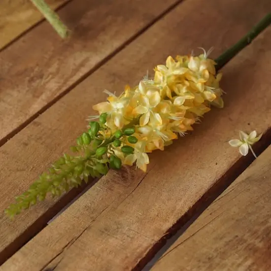 Yellow Foxtail Floral Crafting Stem {4}