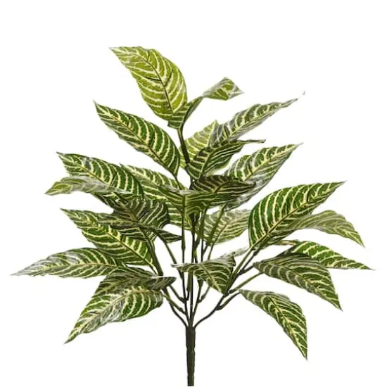 Zebra Bush Classic Greenery by Ashland&reg; {1}