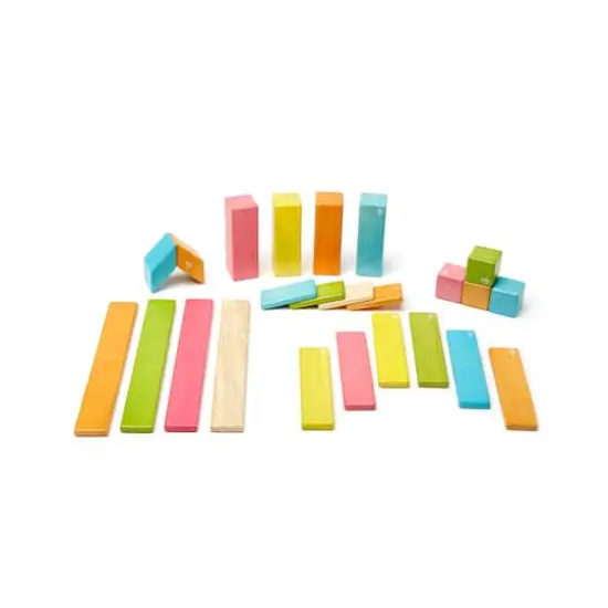 Tegu Tints Block 24 Piece Set {1}
