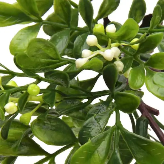 11" Boxwood Pick by Ashland&reg; {3}