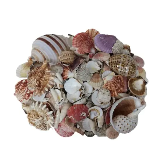 U.S. Shell Garden Bag {1}