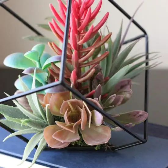 7" Green Artificial Succulent Arrangement in Offset Metal Wire Frame {3}