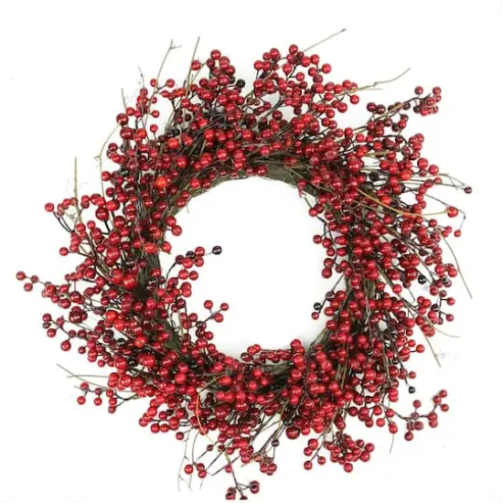 20" Shiny Red Berry Artificial Wreath with Brown Twig Accents, Unlit {1}