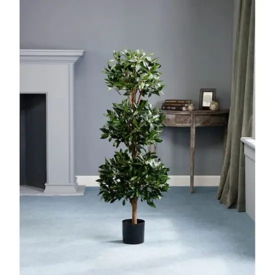 4 Ft. Triple Ball Sweet Bay Topiary {4}