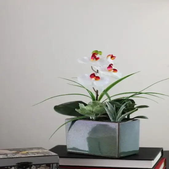 12" White Springtime Easter Orchid & Succulents Artificial Arrangement In Planter {5}