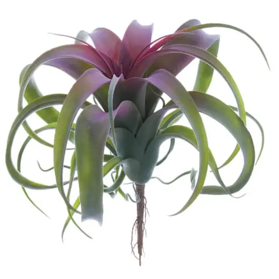 10.5" Tillandsia Pick, Green & Burgundy {1}