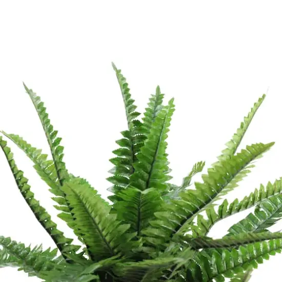 18.5" Potted Artificial Green Boston Fern Plant {3}
