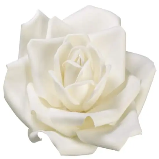 24" Cream Rose Hanging Flower Head {1}