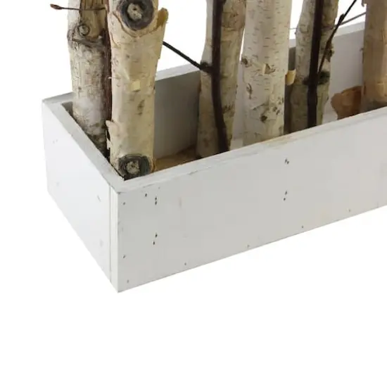 18.75" Mixed Branch Bouquet in White Wood Box {3}