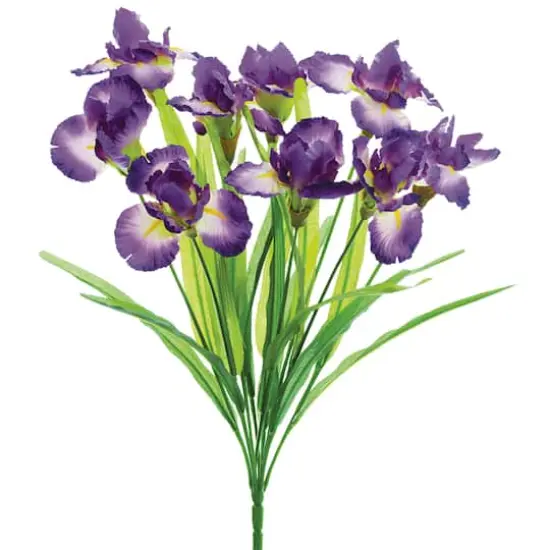 22" Iris Bush, Purple {1}