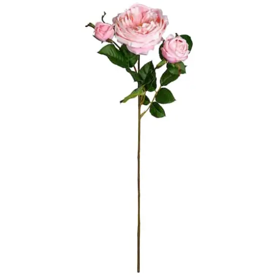 Light Pink English Rose Stem by Ashland&reg; {1}