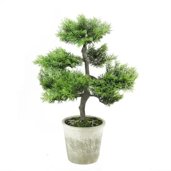 20.25" Japanese Bonsai Tree in Distressed Gray Pot {1}