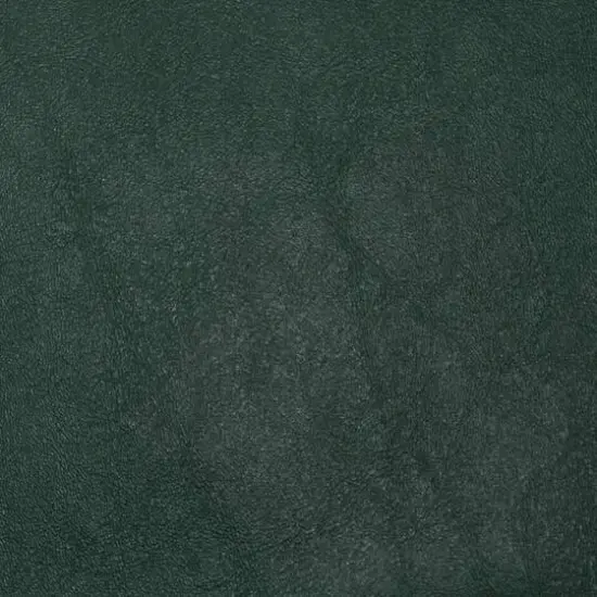 Nassimi Forest Green Vinyl {1}