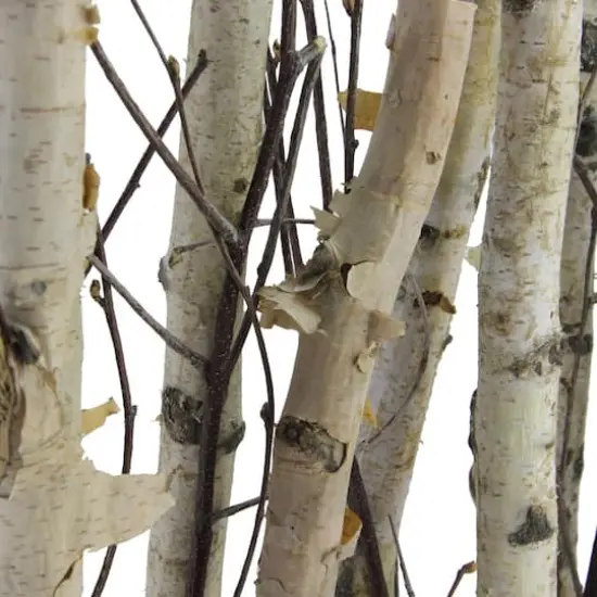 18.75" Mixed Branch Bouquet in White Wood Box {4}