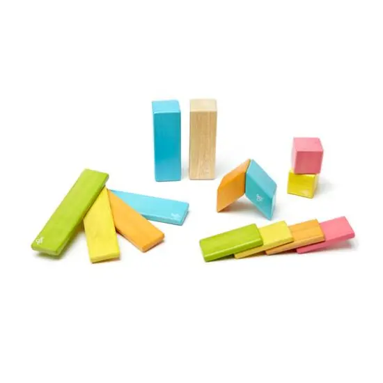 Tegu Tints Block 14 Piece Set {1}