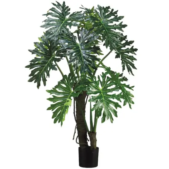 5 Ft. Plume Split Leaf Plant {1}