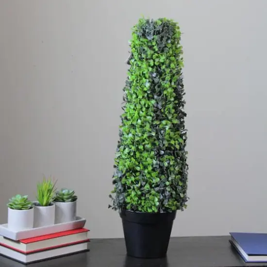 25" Two Toned Conical Shaped Potted Shrub Topiary {3}