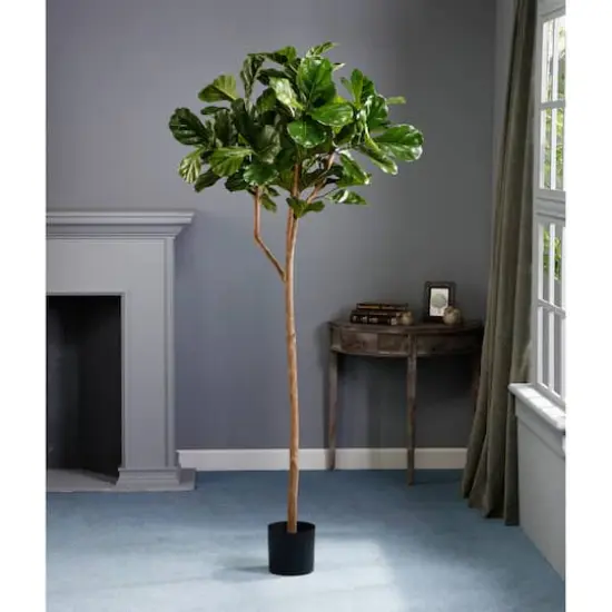 7' Fiddle Leaf Plant {4}
