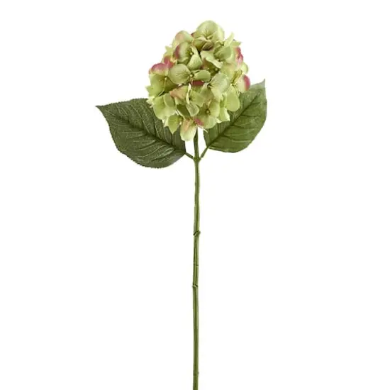 25" Hydrangea Stem by Ashland&reg; Green {5}