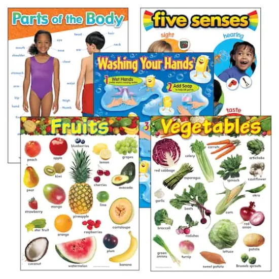 Healthy Living Learning Charts Combo Pack, Set of 5 {1}