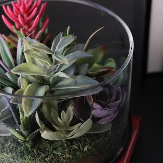 8" Artificial Mixed Succulent Arrangement in Round Glass Jar {3}