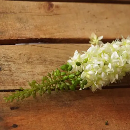 Light Green Foxtail Floral Crafting Stem {4}