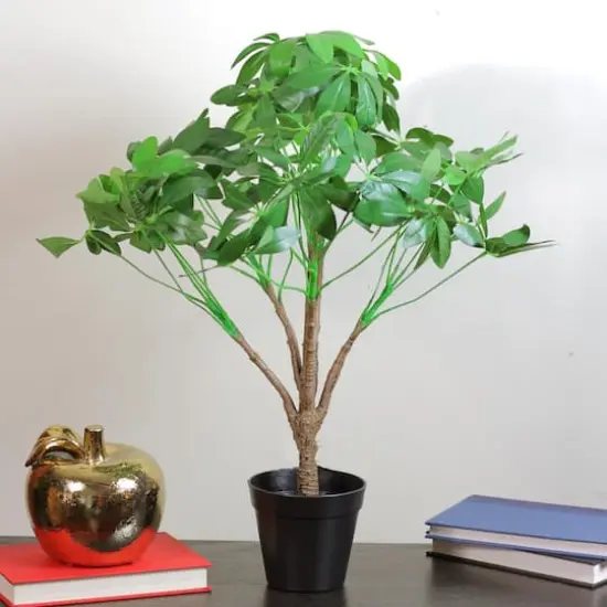 23" Schefflera Arboricola Potted Topiary {3}