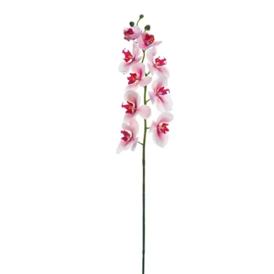 Pink Rubrum Phalaenopsis Orchid Stem {1}
